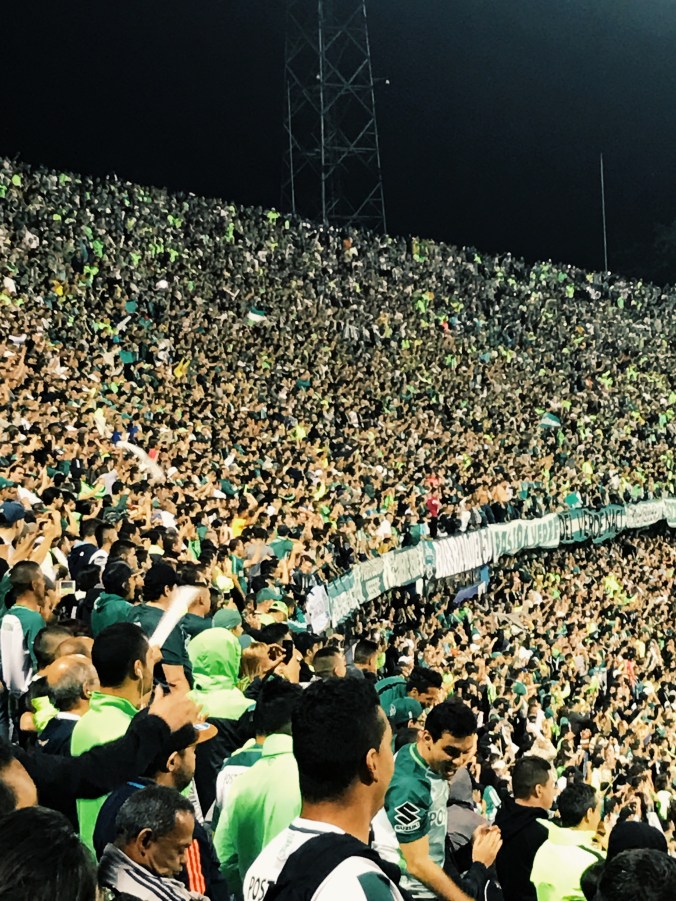 Processed with VSCO with g3 preset